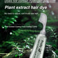 🌟Fruchtessenz-Haarfärbekamm – Sanft färbend und pflegend für glänzendes Haar 💇‍♀️🌟