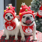 🔥Weihnachtsverkauf 50% Rabatt🎄🎅Entzückende Weihnachtsbaum-Pompon-Mütze🐶🐱