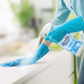 Mehrzweck-Reinigungsspray auf pflanzlicher Basis