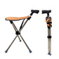 2-in-1 Gehstock mit Klappstuhl