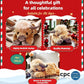 🎁 Dein neues Lieblings-Weihnachtsgeschenk: Das süße Hochlandrind-Kuscheltier! 🐮✨