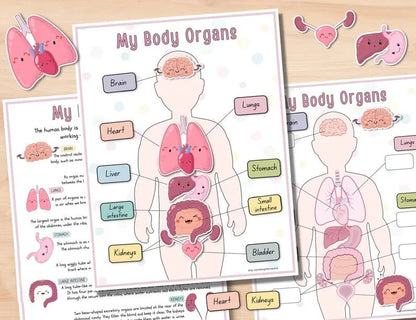 ⭐Beschäftigungsbuch zur menschlichen Anatomie🔥KAUFEN SIE 2 KOSTENLOSE LIEFERUNG
