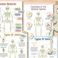 ⭐Beschäftigungsbuch zur menschlichen Anatomie🔥KAUFEN SIE 2 KOSTENLOSE LIEFERUNG